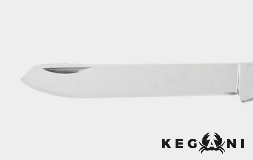 what are spey blades